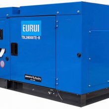 原装日本东洋发电机TDL26000TE-B