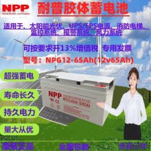 NPPNPG12-65AH 12V65AH 100AH 120AH 150AH 200AH UPS