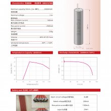 高温电池组 APS-MWD 石油 矿井 耐高温150℃ 29Ah