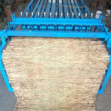 綯 Ƥ ݱ֯