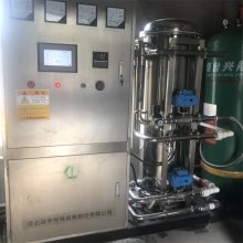 养殖废水臭氧氧化 脱色除味 臭氧灭菌 氧气源1-20kg/h臭氧发生器