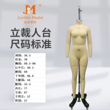 俊美人台 欧美审版女全身内衣B75/34B码 泳衣瑜伽服打版立裁模特