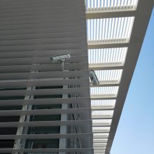 ����������Ҷ ������Ҷ���� �綯��Ҷ ���ΰ�Ҷ �綯���ΰ�Ҷ