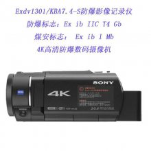 Exdv1301/KBA7.4-S 