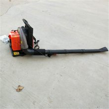 马路吹尘机 鲁华背负式汽油吹雪机 LH CFJ工程用吹风机