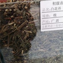 野生白皂药 白花皂药 白花丹一斤多少钱