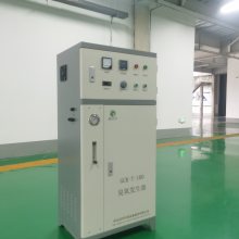冠宇GCY-T臭氧发生器消毒设备污水处理