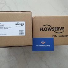 ԭװ510SI-15-W2DSG-00F0-000 FLOWSERVE Ŷλ