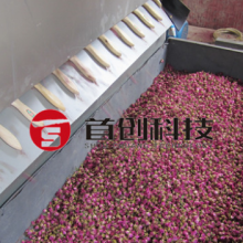 南充自动化油茶果干燥机厂 服务至上 四川南充***科技供应