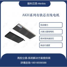 ֱAKH100-N-L-B2AWM3-TL300¼Akribis