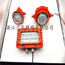 DGC35/127L (A) 矿用隔爆型LED照明灯 DGC21/127L（A）