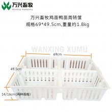 鸡苗周转筐 四格雏鸡周转箱 鸡苗筐运输笼