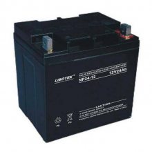 LIBOTEKNP65-12 Ǧ12V65AH