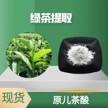 原儿茶酸98% 99-50-3 绿茶提取物 高含量单体 HPLC检测
