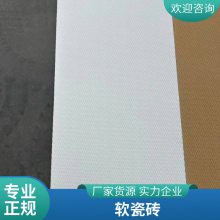 软瓷砖 文化砖 60*240 物流仓库 真实纹理时尚美观 艾谷思