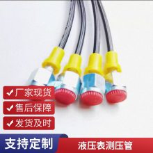 定制超高压软管 测压管 纤维树脂管 630bar压力表测压软管