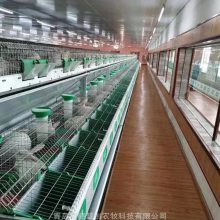 自动料线子母兔笼 兔笼子厂家直销 热镀锌兔笼