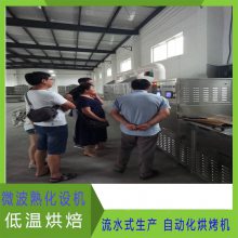 五谷杂粮烘焙设备 杂粮熟化机 可实现24小时连续工作