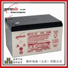 GenesisNP18-12ͨѶ UPSԴ12V-18AHǦ