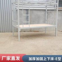 简约时尚宿舍用 博腾钢制上下床-E型 小学学校住宿用可定制