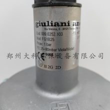 ֣ȼѹgiuliani anello FG1B25