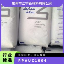 PPA () UC1004 עܼ   ĥ ҵе