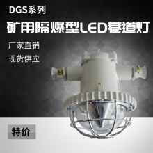 华矿直供LED巷道灯 性能稳定矿用LED巷道灯 DGS60/127L(A)矿用隔爆型LED巷道灯