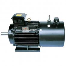 ***YVFE2-160M2-2 15KW 380V B3 Ƶٵ綯СͱƵ