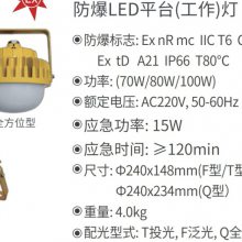 As100WLEDSoBLED10 220VLEDƽ_SZSW8150
