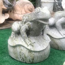 ʯܽȻɫʯˮ̲ƺװΰڼֻ