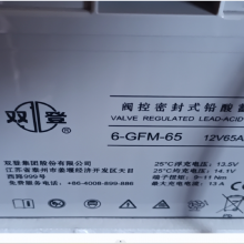 ˫ǷܱʽǦ6-GFM-65(C20)