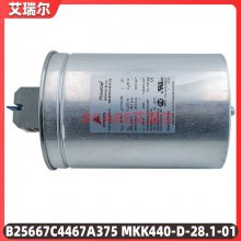 EPCOS B43742A6128M000 500V1200uF 5000Сʱ