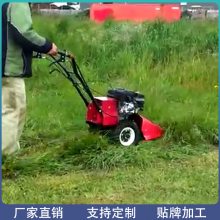 ԰֮ YUANYOU STAR ԰ ũ ƺݻ ʽݻ