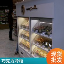 巧克力柜.朱古力展示柜西点柜冷一层巧克力保鲜冷藏展示柜