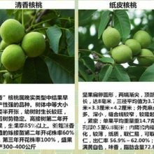 ᷻Ժ᷻ԺһõļǮ