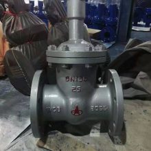 FDZ41H-10C 防盗阀 防盗铸钢法兰闸阀/FDZ41H油田专用防盗闸阀