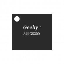 GeehyGS300-