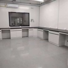 诺尔 NE-SYS-63A 承接微生物实验室规划 实验台非标定制 一站式服务