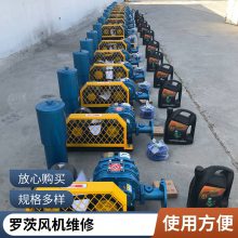 罗茨风机维修配件风机离心风机保养服务罗茨增氧机修理厂家维修