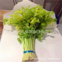 蔬菜水果店胶带扎口机 塑料袋捆扎封口机 供应超市用扎菜机