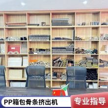 塑料多色仿藤机 PVC PP PE TPE 扁藤挤出机 定制设备工厂