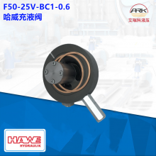 Hawe F50-25V-BC1-0.6 Һy