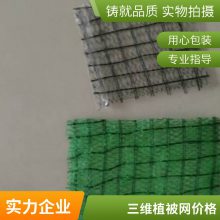 安康世杰EM3固土三维植被网 植草加筋网垫 减少边坡土壤的水分蒸发