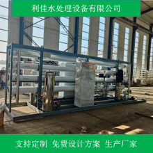 利佳40吨高纯水设备双级RO反渗透纯净水设备 +EDI 模块