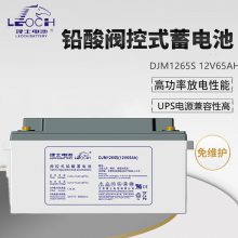 ʿܷʽDJM1265S12V65AHʽUPS/EPSӦԴ