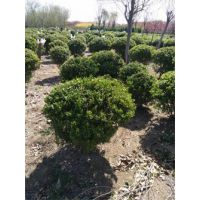 ղ80-90ֹڷҶרҵ