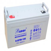 BUDDY 6-GFM-120 ͨѶ12V120AH ֱ  UPSԴ