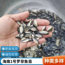 󲻲޷ ޷ ֳ޷