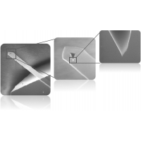 Park XE7ԭ������΢��-�����Լ۱ȵ����������о�����