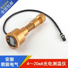 巵 紫  4~20mA